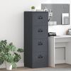 vidaXL File Cabinet Anthracite 45.5 x 42 x 139 cm Cold-Rolled Steel