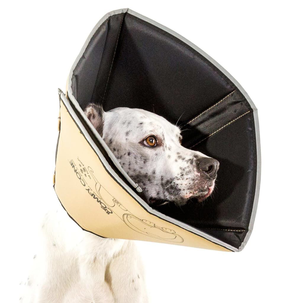 Puppy e collar clearance