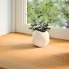 vidaXL Window Sills 2 pcs&nbsp;Light Brown 100x15x2 cm Solid Wood Oak