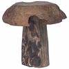 vidaXL Stool Natural 35 x 35 x 35 cm Solid Teak Wood