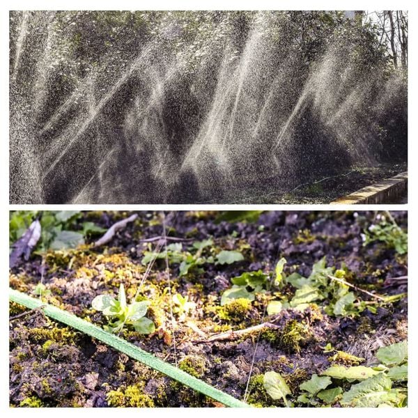 GR&Uuml;NTEK Hose Sprinkler 7.5 m Green