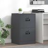vidaXL File Cabinet Anthracite 45.5 x 42 x 74.5 cm Cold-Rolled Steel