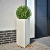 Product Thumbnail Image 2 of 11