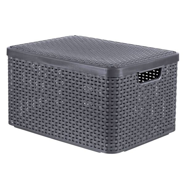Curver Storage Box with Lid Style L 30L Metallic Silver