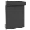 vidaXL Roller Shutter Manual Anthracite 70 x 100 cm