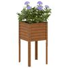 Product Thumbnail Image 2 of 10