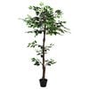 Product Thumbnail Image 3 of 6