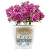 LECHUZA Planter Classico Color 35 ALL-IN-ONE White 13210