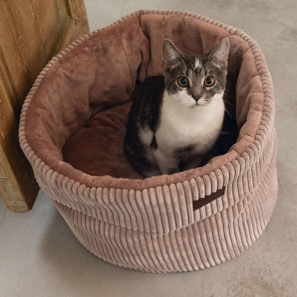 Cat basket bed 2025