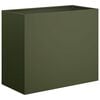 Olive_green