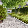Product Thumbnail Image 2 of 10