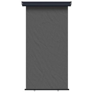 vidaXL Balcony Side Awning 117 x 250 cm 100% polyester iron steel