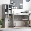 vidaXL Desk with Drawer 2 pcs Concrete Grey
