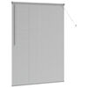 vidaXL Window Blind with Curtains Manual Silver Aluminium