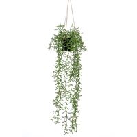 Emerald Artificial Senecio Hanging Bush in Pot 70 cm