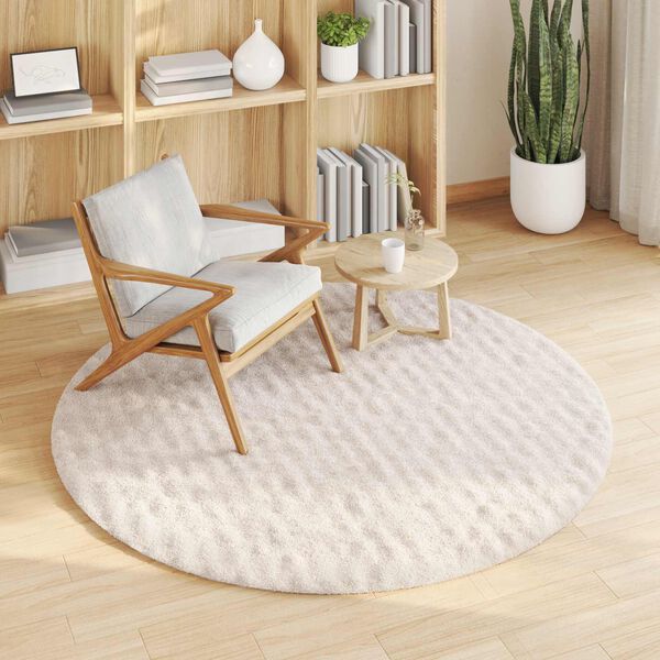 vidaXL Area Rugs Round Beige &Oslash; 160 CM