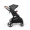 Baninni Twin Stroller Luiz Grey