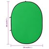 vidaXL 2 in 1 Oval Studio Background Screen Green and Blue 200x150 cm