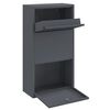 vidaXL Parcel Drop Box with Storage Anthracite 44 x 22 x 82 cm Steel