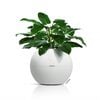LECHUZA Planter PURO Color 50 ALL-IN-ONE Diameter 50 cm White