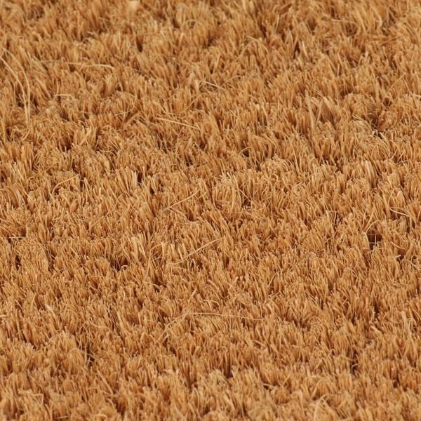 vidaXL Door Mat Natural 65x100 cm Tufted Coir