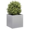 Product Thumbnail Image 2 of 9