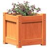 vidaXL Garden Planter Wax Brown 31x31x31 cm Solid Wood Pine
