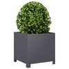 Product Thumbnail Image 3 of 10