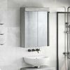 vidaXL Bathroom Mirror Cabinet TULUM Grey Sonoma 60 x 16.5 x 78 cm