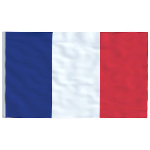 vidaXL France Flag and Pole 6.08 m Aluminium