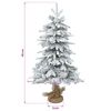 Product Thumbnail Image 5 of 5