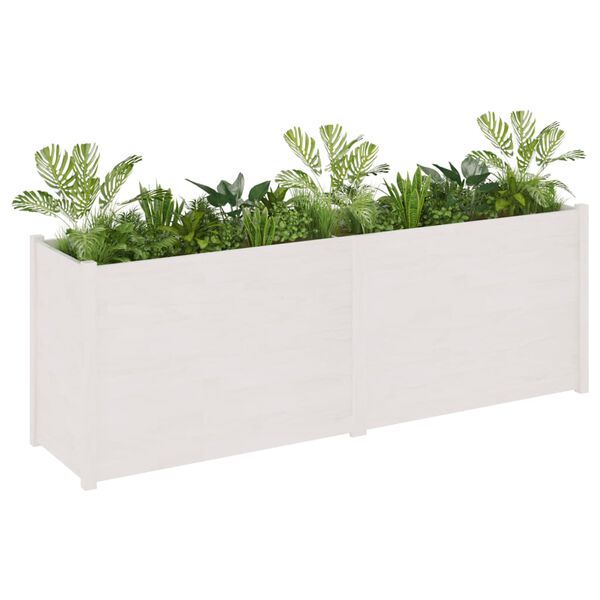 vidaXL Garden Planter White 200x50x70 cm Solid Pinewood