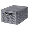 Curver Storage Box with Lid Style M 18L Metallic Silver