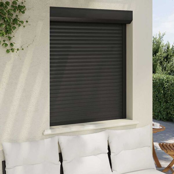 vidaXL Roller Shutter Aluminium 100x120 cm Anthracite