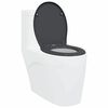 vidaXL Quick Release Toilet suitable for Seat Anthracite