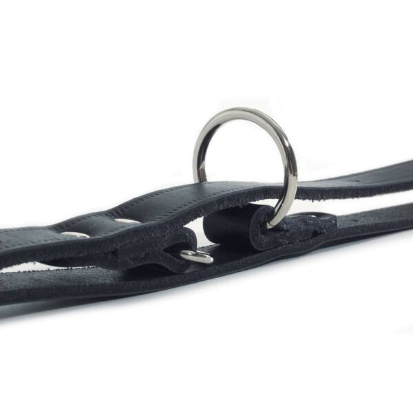 Beeztees Training Leash Leather Black 200x1.8 cm 736392
