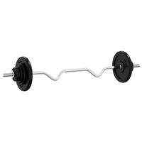 vidaXL Barbell with Plates 90 kg Cast Iron & Chrome Plated Steel