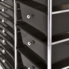 vidaXL XXL 15-Drawer Mobile Storage Trolley Black Plastic