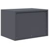 vidaXL Storage Cabinet Anthracite 60 x 40 x 40 cm Steel