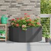 Product Thumbnail Image 2 of 12