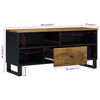 vidaXL TV Cabinet 100x33x46 cm Solid Wood Mango&Engineered Wood