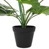 Product Thumbnail Image 4 of 6