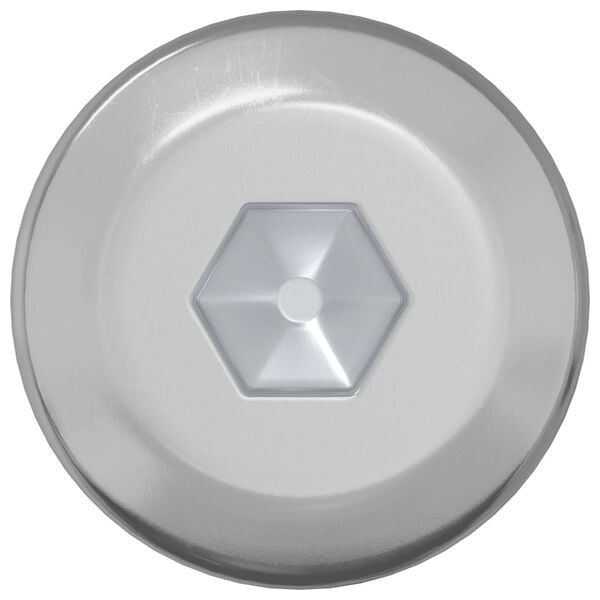 vidaXL Screw 2 pcs Silver M6 x 120 mm Steel