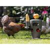 Beeztees Chicken Snack Tower 30x30x32.5 cm Grey