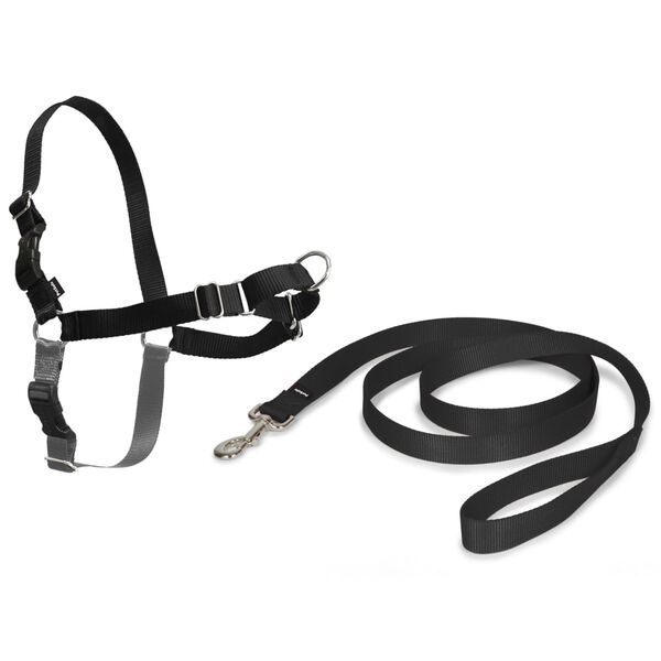 PetSafe Dog Harness Easy Walk S Black