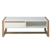 Trendteam Coffee Table Dakota White and Artisan Oak
