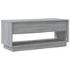 vidaXL TV Cabinet Grey Sonoma 102x41x44 cm Engineered Wood