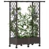 Product Thumbnail Image 3 of 9