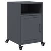 vidaXL Bedside Cabinets 2 pcs Anthracite 36x39x59 cm Steel