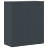 vidaXL File Cabinet Anthracite 90x40x145 cm Steel